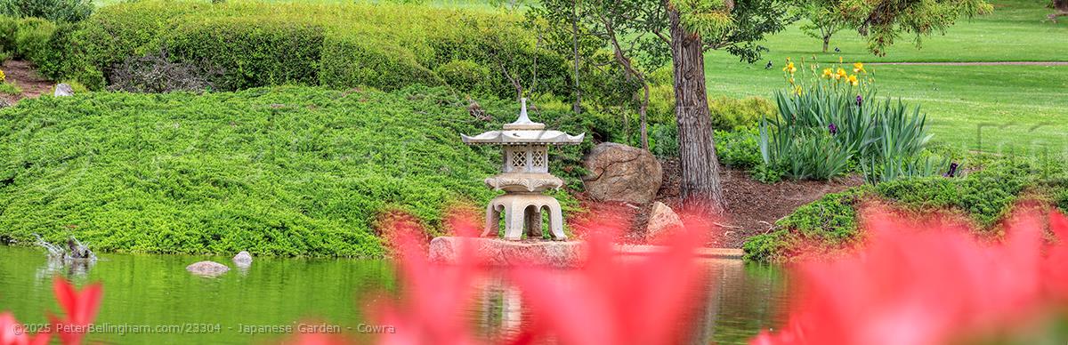 Peter Bellingham Photography Japanese Garden - Cowra